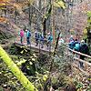 Gemeinsam auf Schusters Rappen unterwegs: Der Schwarzwaldverein bei der Abschlusswanderung im November 2021.