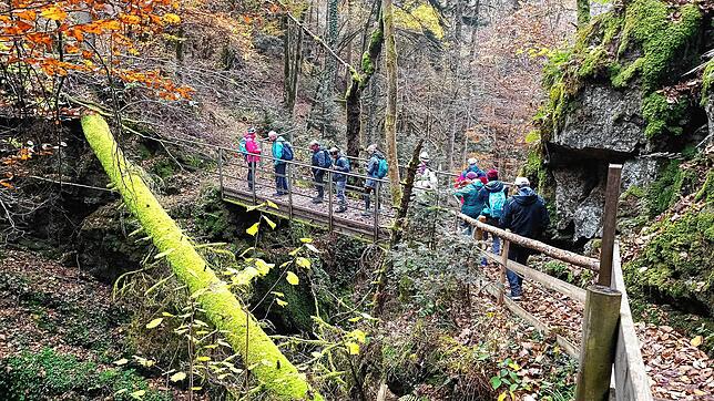 Gemeinsam auf Schusters Rappen unterwegs: Der Schwarzwaldverein bei der Abschlusswanderung im November 2021.