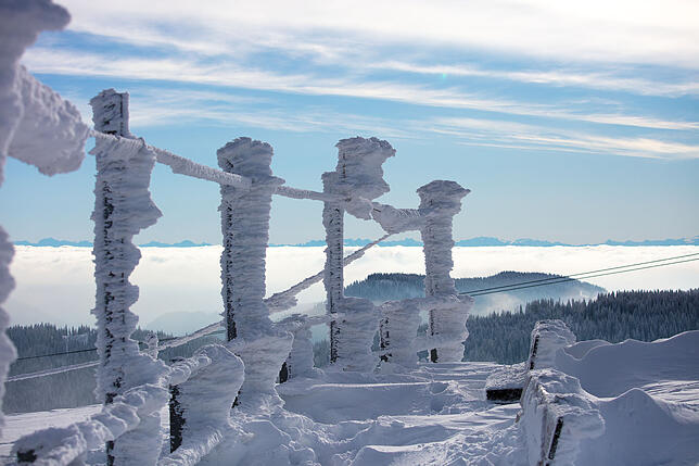 Bild 6: Blauer Himmel und ganz viel Schnee: Atemberaubende Aussichten im Winterwunderland Feldberg