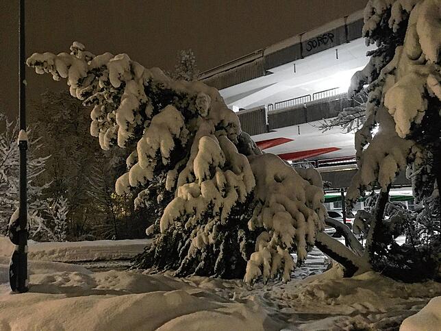 Vor dem Parkhaus  biegt der Schnee einen Baum um.