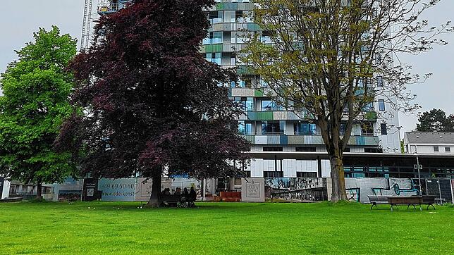 (Archivbild von Mai 2025) Auf der Wiese vor dem ehemaligen Fernmeldeamt, auch Telekom-Turm genannt, ist es Mitte August zu einem ...