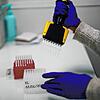 In einem Institut für Infektionskrankheiten werden Proben vorbereitet, um sie auf eine hochansteckende Corona-Mutation zu untersuchen. ...