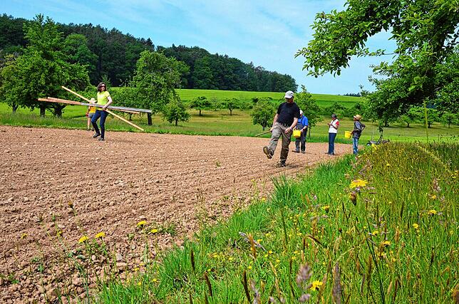 Bild 9: Neue Blühwiese in Markdorf: Wie die Blumen auf die Wiese kommen