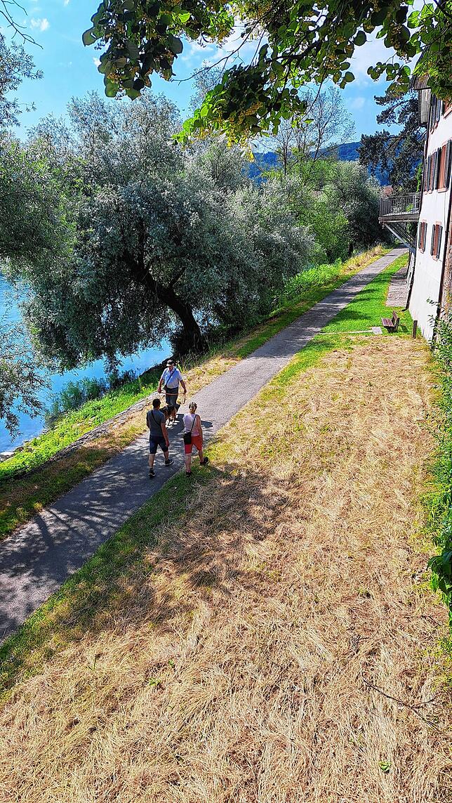 Auf dem Rheinuferweg begegnen sich Sportler und Spaziergänger.