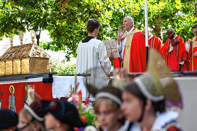 Bild 1: Traditionelles Hausherrenfest in Radolfzell – Die besten Bilder