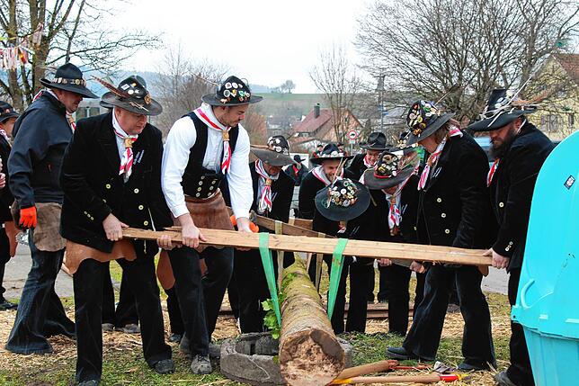 Bild 23: Bilder vom Narrentreffen in Nenzingen