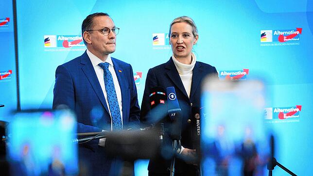Die Fraktionsvorsitzenden der AfD, Tino Chrupalla (l) und Alice Weidel, im Februar 2025. Die Partei will sich juristisch gegen die ...