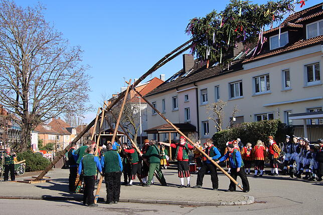 Bild 11: Radolfzeller Froschenzunft: So spektakulär wurde der Narrenbaum gestellt – alle Bilder!