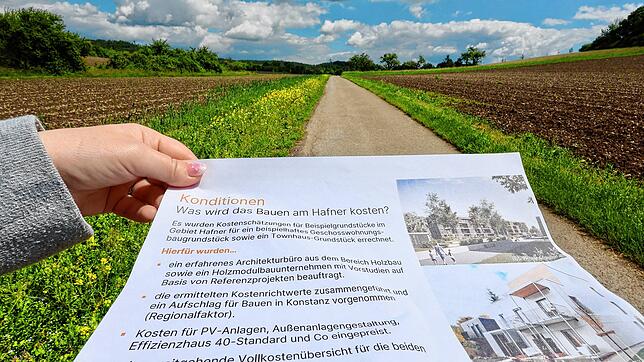 Sind die Preise für Grundstücke und Häuser am Hafner wirklich fair, wie Projektleiter Lukas Esper sagte? Experten geben dazu Auskunft.