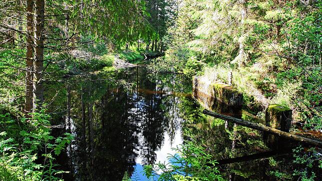 So sieht der Oberwasserkanal derzeit aus. Er soll verschwinden.