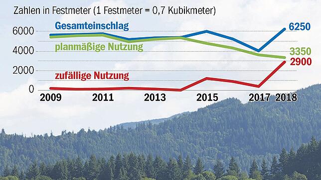Bildunterschrift