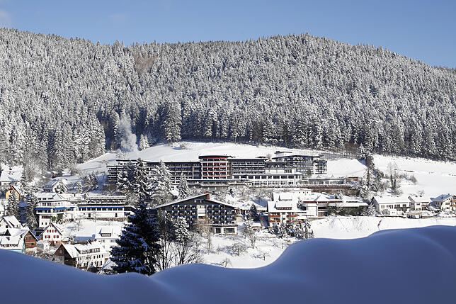 So sah es vor dem Brand aus: Im Hintergrund am Hang der Hotelkomplex der Traube Tonbach, im Vordergrund links die Rückseite des ...