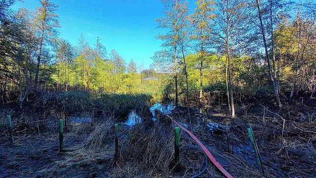 Bild 15: Alarm an der A98 bei Stockach: Biber, Millionen Liter Wasser und Blackout-Gefahr
