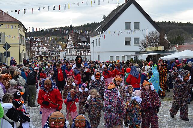 Bild 3: Eigeltinger Narrentage: Der Sonntagsumzug in Bildern (4)