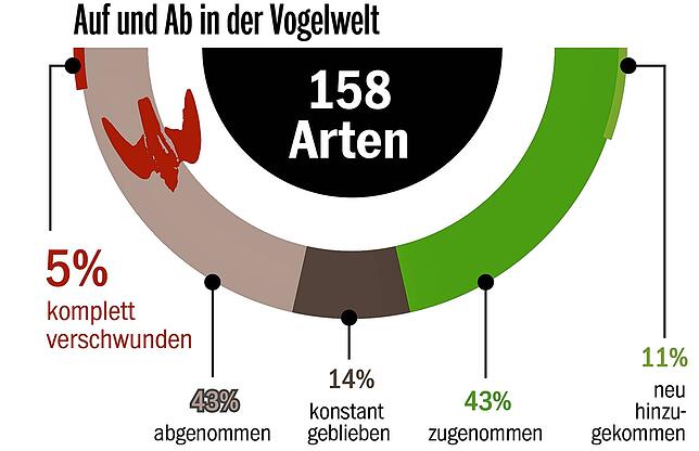 Bild 1: Singvögel auf dem absteigenden Ast: Am Bodensee wird es immer stiller