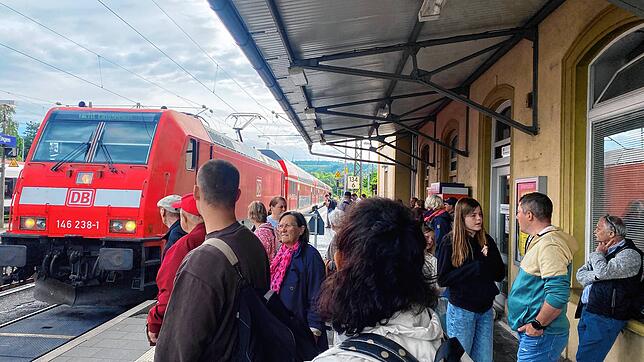 Knapp eine Woche nach einem Unfall mit einem Güterzug im Bahnhof von Singen ist die wichtige Bahnstrecke wieder frei. (Archivbild)