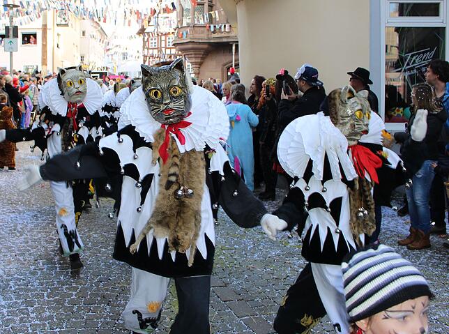 Bild 11: Bilder vom Fasnetsmäntigumzug in Meßkirch