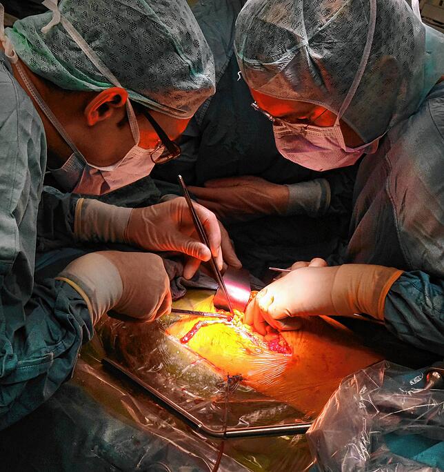 Die Transplantation einer Niere: Für die Empfänger hebt sie die beschwerliche Dialyse auf, die nötig ist, wenn die eigene Niere nicht ...