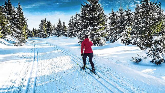 Der schneereiche Winter in Furtwangen lockte im Jahr 2020 viele Langläufer auf die Loipen. Bild: mmphoto/stock.adobe