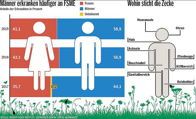 Bild 3: Hier lauern wieder die Zecken