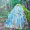 Im Wald am Stadlerberg erinnern ein großer Gedenkstein und ein schlichtes Holzkreuz an den Flugzeugabsturz bei Weiach 1990, bei dem alle ...