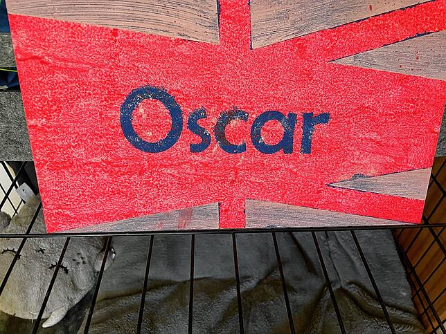 Diese Schild hat Sohn Jacob für Hund Oscar selbst hergestellt.