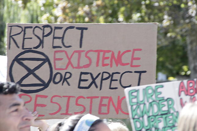 Bild 23: Bilder von der Fridays for Future-Demonstration in Villingen