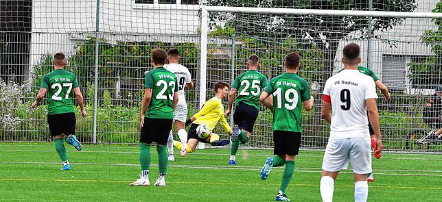 Bild 27: SV Herten besiegt den VfB Waldshut mit 3:0 &ndash; und wir haben die Bilder!