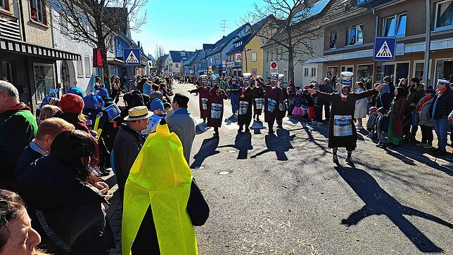 Bild 6: Fasnet 2025: Die schönsten Bilder vom Umzug in Hüfingen