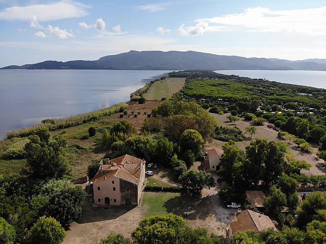 Im WWF-Schutzgebiet in Laguna de Orbetello leben die handaufgezogenen Waldrappe mit wildlebenden Vögeln zusammen.