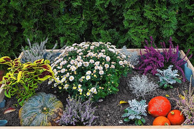 Herbstliche Dekoration lockert den Festplatz auf.