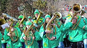 Bild : Fasnacht-Umzug 2025 in Wutöschingen: 41 Gruppen bringen viel Freude