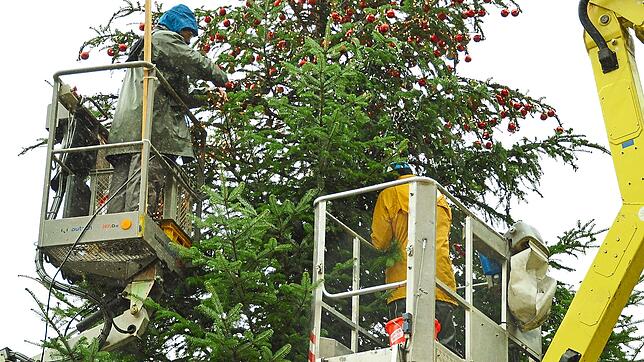 Markus Kienzler (links) und Daniel Rall schmücken mit viel Geduld den prachtvollen Christbaum, der ab dem ersten Weihnachtsfeiertag die ...