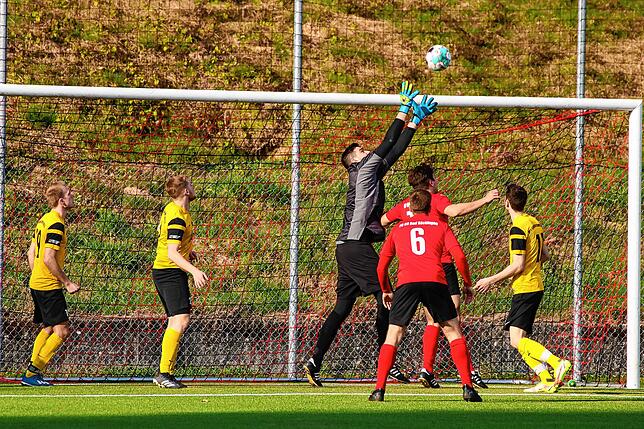 Bild 8: FC 08 Bad Säckingen besiegt den VfR Horheim-Schwerzen mit 4:2 &ndash; und wir haben Bilder!