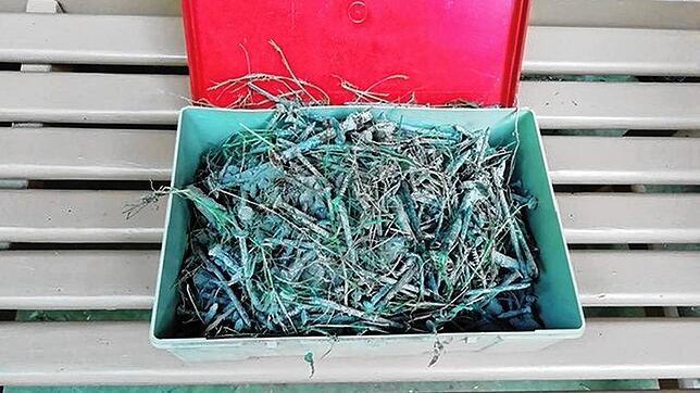 Illegal auf einer Wiese bei Wutöschingen-Horheim entsorgt: Diese Nägel wären um ein Haar im Viehfutter gelandet.