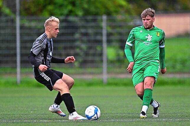 Bild 33: SV Herten setzt sich mit 4:1 gegen FC Hochrhein durch – und wir haben Bilder!