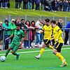 Bild :