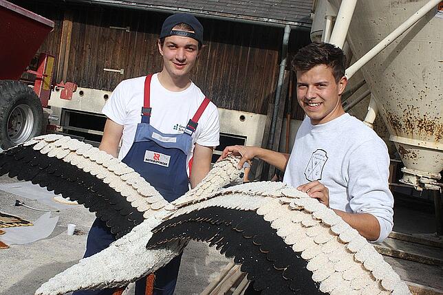 Bild 6: Bilder vom Kreiserntedankfest-Samstag in Weiler