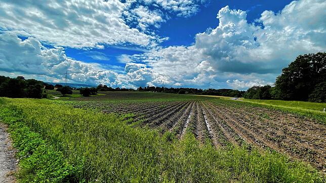 Hier soll der neue Konstanzer Stadtteil Hafner entstehen. Die Straße am rechten Bildrand führt zum Kreisverkehr Richtung Dettingen.