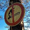 Ein Warnschild an einem Baum oberhalb des Gutachtals bei Triberg verbietet das Feuermachen am beliebten Aussichtspunkt Großvaterstuhl. ...