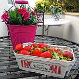&bdquo;Zum Abschluss des Spaziergangs lockt ein leckeres Schälchen Erdbeeren vom Fuchshof. Dieser hat während der Erdbeersaison sonntags ...