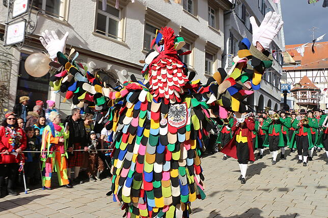 Die Pfullendorfer Hänsele juckten mit viel Spaß die Stadt runter.