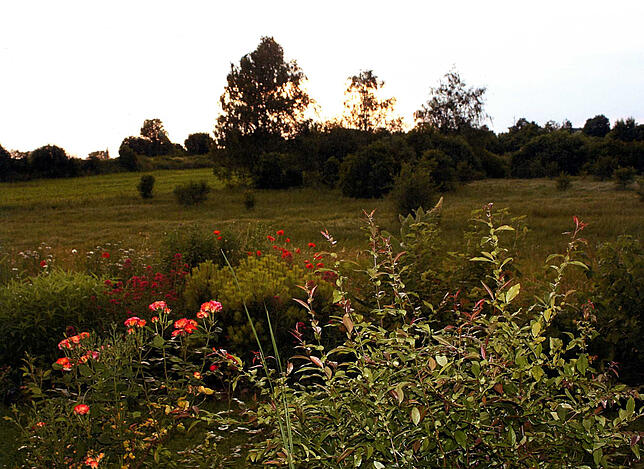 Seltene Wiesenblumen, hochwertiges Grünland, natürliche Lebensräume für seltene Tiere und Pflanzen: Ein Blick in die Fläche ...