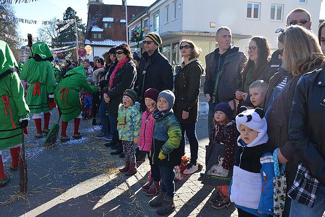 Bild 18: Bilder vom Narrentreffen der Urviecher-Zunft Bad Dürrheim: Großer Festumzug (2)