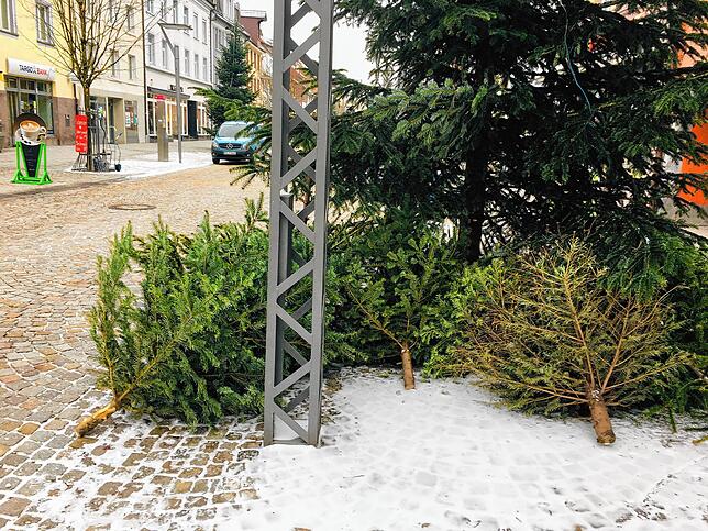 Direkt vor dem Geschäft von Patrick Ziegler werden die privaten Weihnachtsbäume einfach abgelegt.