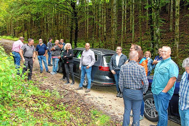 Standort des Trails ist ein steiles Waldstück, das der Gemeinderat im Herbst 2021 besichtigte.