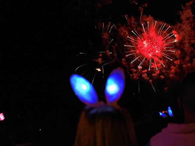 Bild 9: Bilder vom Feuerwerk beim Seehasenfest