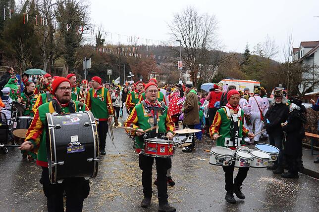 Bild 4: Großer Festumzug in Möggingen: Tausende besuchen das Seenarrentreffen trotz Regen!
