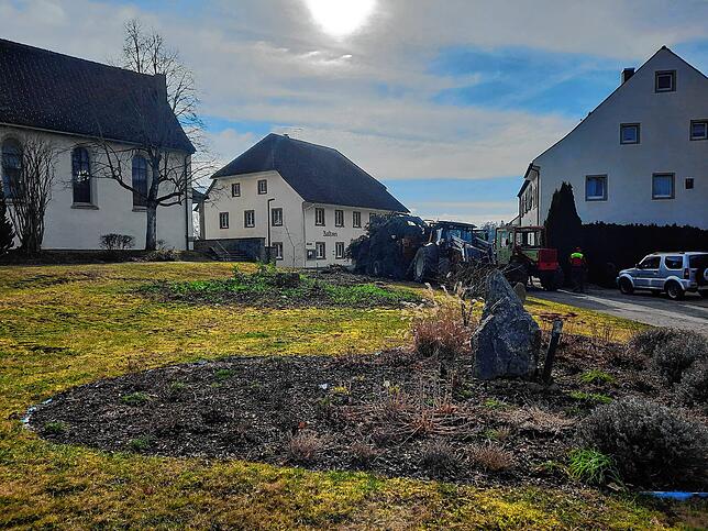 Am 27. Februar 2024 wurde die Tanne gefällt, die mindestens 15 Meter Höhe und einen beträchtlichen Umfang hatte. Sie diente lange als ...