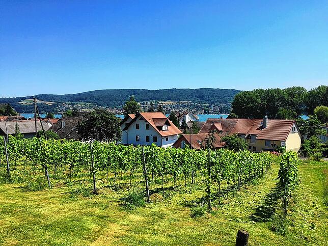 Spätburgunder und Seeblick.